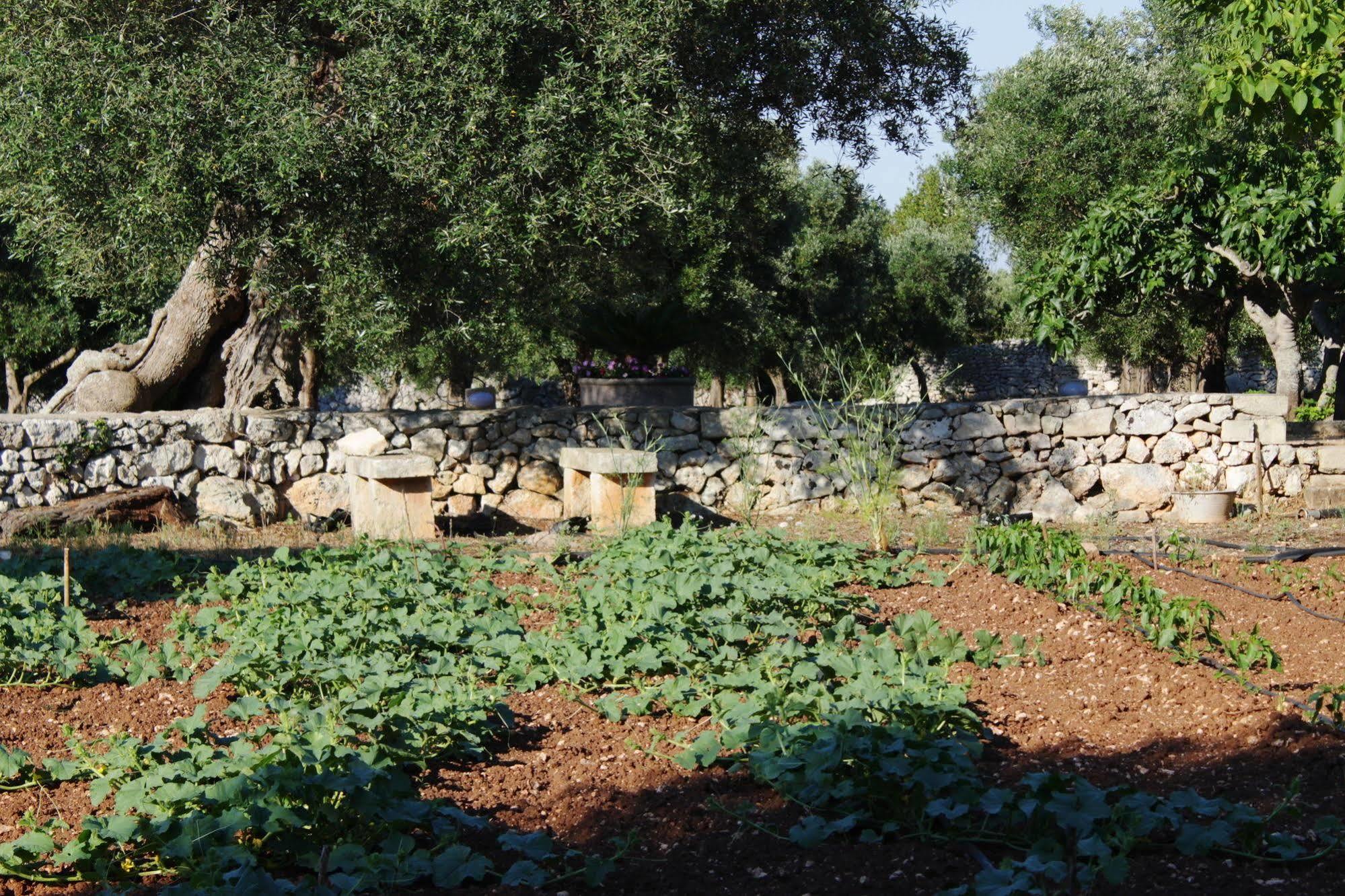 Tenuta Pigliano Hotel Bagnolo del Salento ภายนอก รูปภาพ