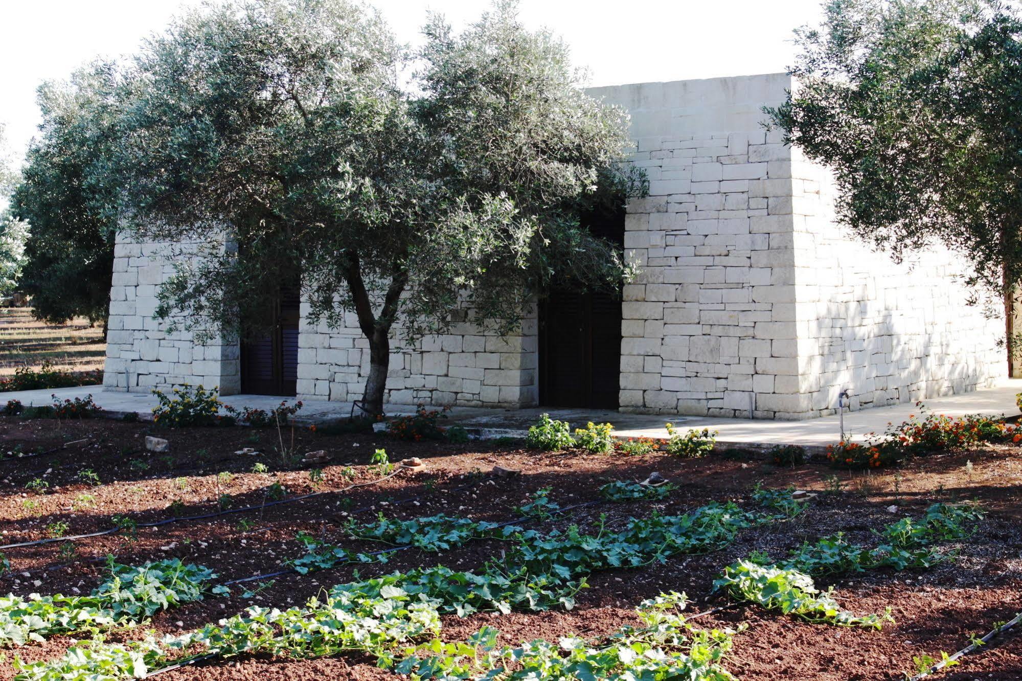 Tenuta Pigliano Hotel Bagnolo del Salento ภายนอก รูปภาพ